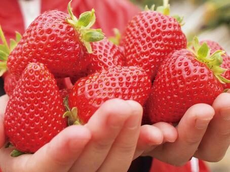 【実体験あり】食べチョクの口コミは本当?生産者直送で“失敗しない”理由7選口コミ・安全性を徹底検証